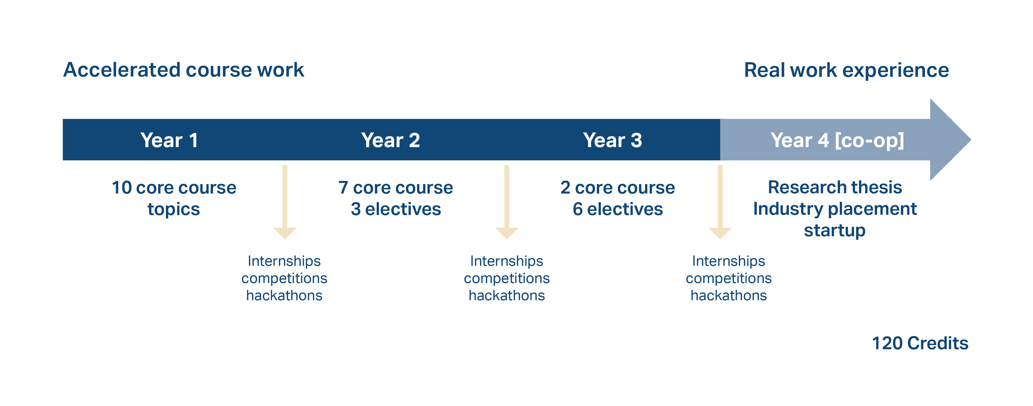 B.Sc. AI timeline showing 4-year structure with coursework and industry placement